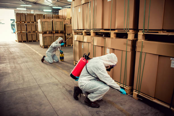 Best Best Pest Control Companies  in Soledad, CA