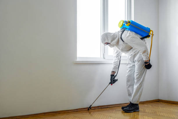 Professional Pest Control in Soledad, CA
