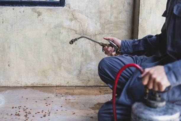 Best Termite Control Services  in Soledad, CA